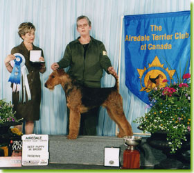 National Specialty 2004 Best Puppy
