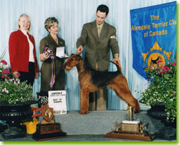 National Specialty 2004 Best of Winners