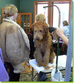 ATCC Grooming Seminar 2007 - A patient boy waits for his turn