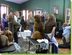 ATCC Grooming Seminar 2007 - The group watches as a perfect furnishing emerges
