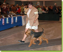 National Specialty 2006 Slideshow
