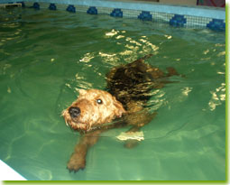 Getting in the swim