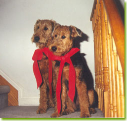 Abby and Winny, photo by Mary Floro-White of RedMaple