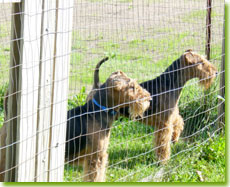 Chloe and Hunter, photo by Marian Murray