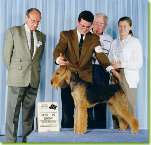 John and Ellie Voortman and their beloved CH Nanouska Van T Asbroek winning Best In Show. Photo taken by Alex Smith and courtesy of John and Ellie Voortman.